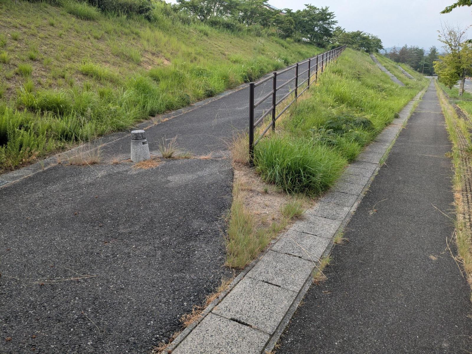 吉備高原都市の遊歩道